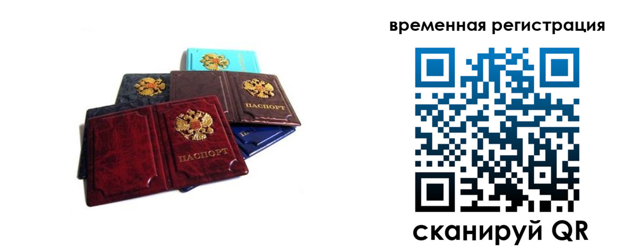 прописка для работы в Барыше